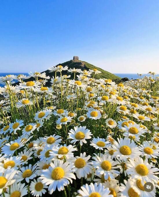 Polhawn Lookout, Whitsand Bay Cornwall Appartement *